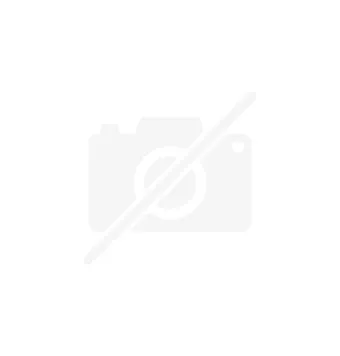 Vorderer rechter Blinker Honda Pantheon 4T 125