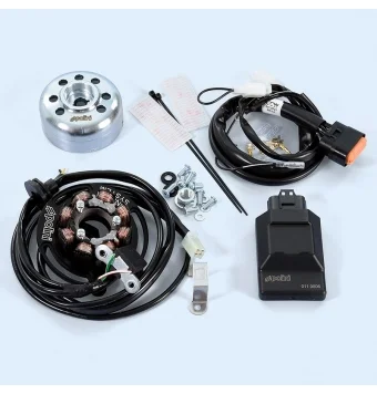 Polini For Race Digital Racing Ignition Minarelli AM6 / Derbi Euro 2-3-4