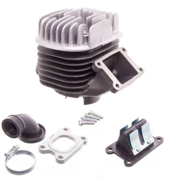 Cylinder Polini Evolution 70cc Minarelli Vertical b.12mm 166.0074/12E