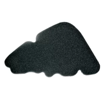 Piaggio Air Filter (9209) 9209