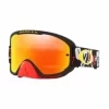 Motorcycle Goggles: Road and Enduro